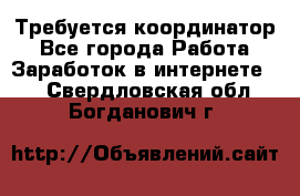 Требуется координатор - Все города Работа » Заработок в интернете   . Свердловская обл.,Богданович г.